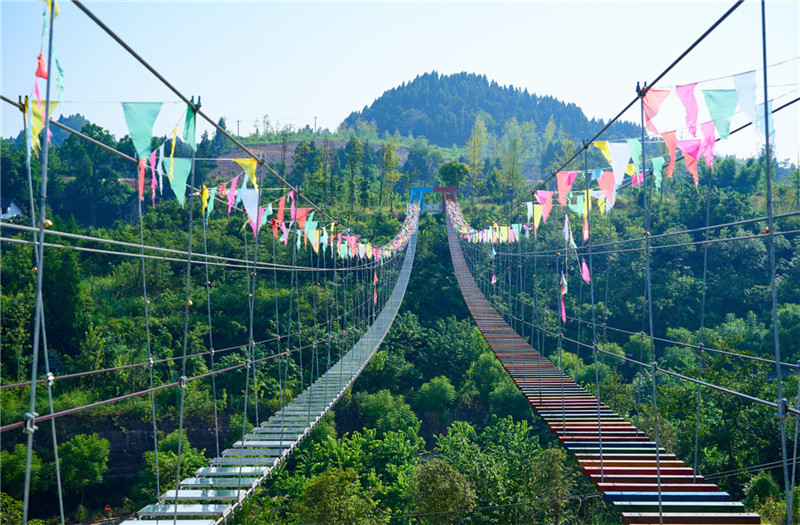 1641804917289069320.jpg image15.jpg